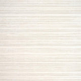 Contemporary Serene Shaggy Finish(Beige)