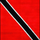 Charming Asphalt Track Illustration(Red)