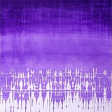Ultra Soft Area Rug, Non Slip, Stain Resistant, Washable Area Rugs for Living Room, Bedroom, Eclectic Soft Ombre Effect(Purple)