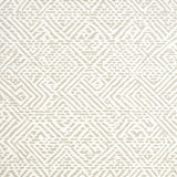 Ultra Soft Area Rug, Non Slip, Stain Resistant, Washable Area Rugs for Living Room, Bedroom, Trunding Farmhouse Hallway Kitchen Shaggy Runner(Beige)