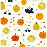 Ultra Soft Area Rug, Non Slip, Stain Resistant, Washable Area Rugs for Living Room, Bedroom, Charming Minimalist Fruit Illustration(Orange)