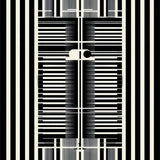 Ultra Soft Area Rug, Non Slip, Stain Resistant, Washable Area Rugs for Living Room, Bedroom, Unique Minimalist Animal Theme(Black)