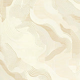 Ultra Soft Area Rug, Non Slip, Stain Resistant, Washable Area Rugs for Living Room, Bedroom, Rustic Modernist Organic Shapes(Beige)