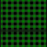 Cozy Green and Charcoal Buffalo(Green)