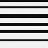 Ultra Soft Area Rug, Non Slip, Stain Resistant, Washable Area Rugs for Living Room, Bedroom, Modern striped textile art(Black)