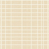 Ashley Tisdale Interiors Nepenthe Beige Checked Accent(Beige)