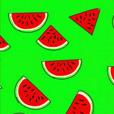Cute Juicy Melon Illustration(Red)