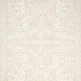 Ultra Soft Area Rug, Non Slip, Stain Resistant, Washable Area Rugs for Living Room, Bedroom, Kitchen Non Slip Boho Runner(Beige)