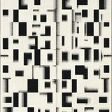 Ultra Soft Area Rug, Non Slip, Stain Resistant, Washable Area Rugs for Living Room, Bedroom, Domino Effect Rug Dual Tone Stripe Patterned Floor Accent(Black)