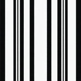 Elegant Reversible Stripe Aesthetic(Black)