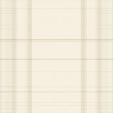 Minimalist Grid and Elegant Narrow Outlining(Beige)