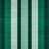 Chic Striped Coastal Vibe(Green)