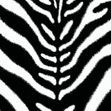 Ultra Soft Area Rug, Non Slip, Stain Resistant, Washable Area Rugs for Living Room, Bedroom, Black and White Zebra Entryway Non-Slip Rug(Black)