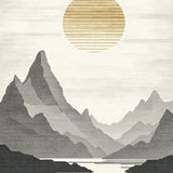 Elegant Toned Abstract Waves(Gray)