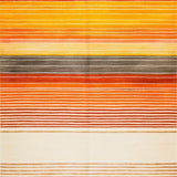 Ultra Soft Area Rug, Non Slip, Stain Resistant, Washable Area Rugs for Living Room, Bedroom, Lively Contemporary Patterned Delight(Orange)