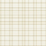Ivory Beige Gingham Style Area(Beige)