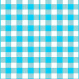 Stylish Tassel Edged Cozy Look(Blue)