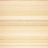 Ultra Soft Area Rug, Non Slip, Stain Resistant, Washable Area Rugs for Living Room, Bedroom, Chic Animal Skin Rustic Style(Beige)
