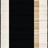 Ultra Soft Area Rug, Non Slip, Stain Resistant, Washable Area Rugs for Living Room, Bedroom, Cozy Black Tan Patterned Charm(Black)