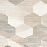 Ultra Soft Area Rug, Non Slip, Stain Resistant, Washable Area Rugs for Living Room, Bedroom, Contemporary Handcrafted Area with Interlocking Hexagon(Beige)