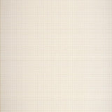 Elegant Creamy Minimalist Texture(Beige)