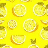 Sunny Citrus Themed Artistry(Yellow)