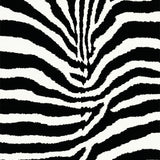Ultra Soft Area Rug, Non Slip, Stain Resistant, Washable Area Rugs for Living Room, Bedroom, Bold Zebra Skin Bedroom Low Pile Floor Mat(Black)