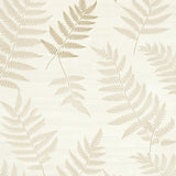 Cozy Creamy Textured Aesthetic(Beige)