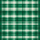 Sophisticated Woolen Touch(Green)