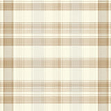 Ultra Soft Area Rug, Non Slip, Stain Resistant, Washable Area Rugs for Living Room, Bedroom, Sophisticated Beige Check Patterned Area with Tan and Off White Lines(Beige)