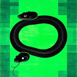 Ultra Soft Area Rug, Non Slip, Stain Resistant, Washable Area Rugs for Living Room, Bedroom, Sleek Emerald Abstract Snake Motif(Green)