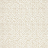Ultra Soft Area Rug, Non Slip, Stain Resistant, Washable Area Rugs for Living Room, Bedroom, Elegant Scraper Door for Entryway Non Slip Welcome Area(Beige)