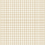 Ultra Soft Area Rug, Non Slip, Stain Resistant, Washable Area Rugs for Living Room, Bedroom, Non Slip Beige Woven Look Gingham Check Area(Beige)
