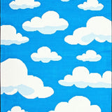 Ultra Soft Area Rug, Non Slip, Stain Resistant, Washable Area Rugs for Living Room, Bedroom, Playful Fluffy Cloud Motif(Blue)