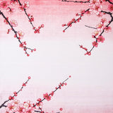 Ultra Soft Area Rug, Non Slip, Stain Resistant, Washable Area Rugs for Living Room, Bedroom, Sakura Floral Watercolor Aesthetic(Pink)