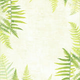 Creamy Textured Oasis(Beige)