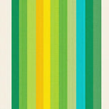 Dynamic Shaggy Rainbow Expression(Green)