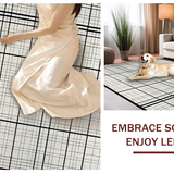 Ultra Soft Area Rug, Non Slip, Stain Resistant, Washable Area Rugs for Living Room, Bedroom, Contemporary Black and White Grid Stripe Rug with Minimalist Layered Motif(Beige)