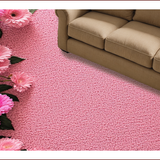 Ultra Soft Area Rug, Non Slip, Stain Resistant, Washable Area Rugs for Living Room, Bedroom, Floral Coquette Bath Mat(Pink)