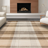 Ultra Soft Area Rug, Non Slip, Stain Resistant, Washable Area Rugs for Living Room, Bedroom, Rustic Neutral Patterned Piece(Beige)