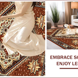 Ultra Soft Area Rug, Non Slip, Stain Resistant, Washable Area Rugs for Living Room, Bedroom, Rustic Texas Star Entryway Non-Slip Washable Carpet(Brown)