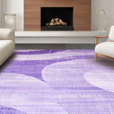 Ultra Soft Area Rug, Non Slip, Stain Resistant, Washable Area Rugs for Living Room, Bedroom, Artful Soft Plush Ombre Design(Purple)