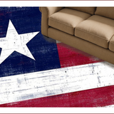 Ultra Soft Area Rug, Non Slip, Stain Resistant, Washable Area Rugs for Living Room, Bedroom, Bold Aged Flag Aesthetic(Red)
