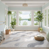 Abstract Area Grey Abstract Swirl Area Rug