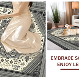Ultra Soft Area Rug, Non Slip, Stain Resistant, Washable Area Rugs for Living Room, Bedroom, Vibrant Natural Tones with Elegance(Gray)