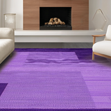 Ultra Soft Area Rug, Non Slip, Stain Resistant, Washable Area Rugs for Living Room, Bedroom, Trendy Textured Colorful Haven(Purple)