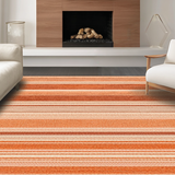 Ultra Soft Area Rug, Non Slip, Stain Resistant, Washable Area Rugs for Living Room, Bedroom, Luxurious Modern Texture Blend(Orange)