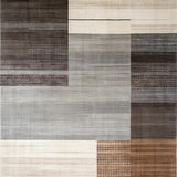 Ultra Soft Area Rug, Non Slip, Stain Resistant, Washable Area Rugs for Living Room, Bedroom, Elegant Earthy Abstract Composition(Gray)