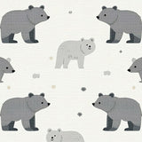 Frosted Bear Cub Inspired Design(Gray)