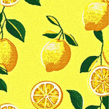 Ultra Soft Area Rug, Non Slip, Stain Resistant, Washable Area Rugs for Living Room, Bedroom, Artistic Citrus Burst Design(Yellow)